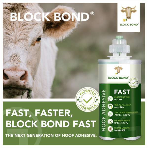 11_2023_Block_Bond_Fast