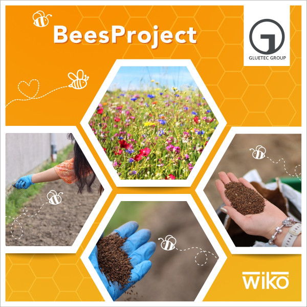 Post_BeesProject_1_0723