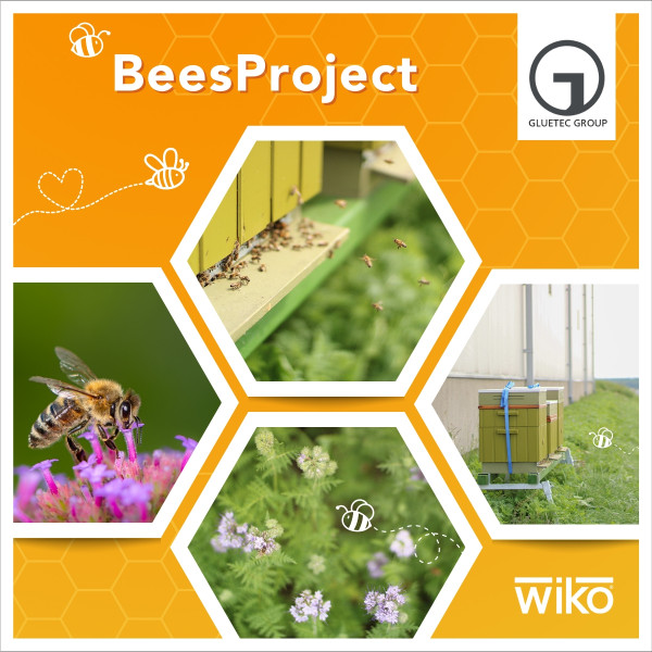 09_2023_Bees-Project